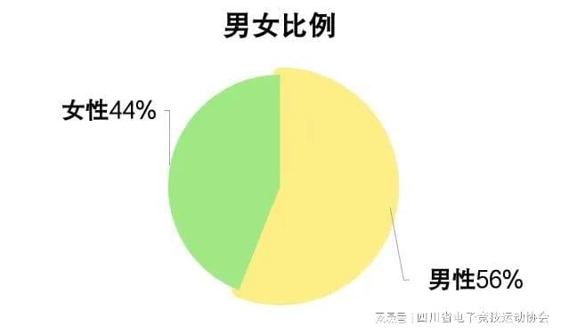 2024四川省电子竞技产业报告星空体育APP(图7)